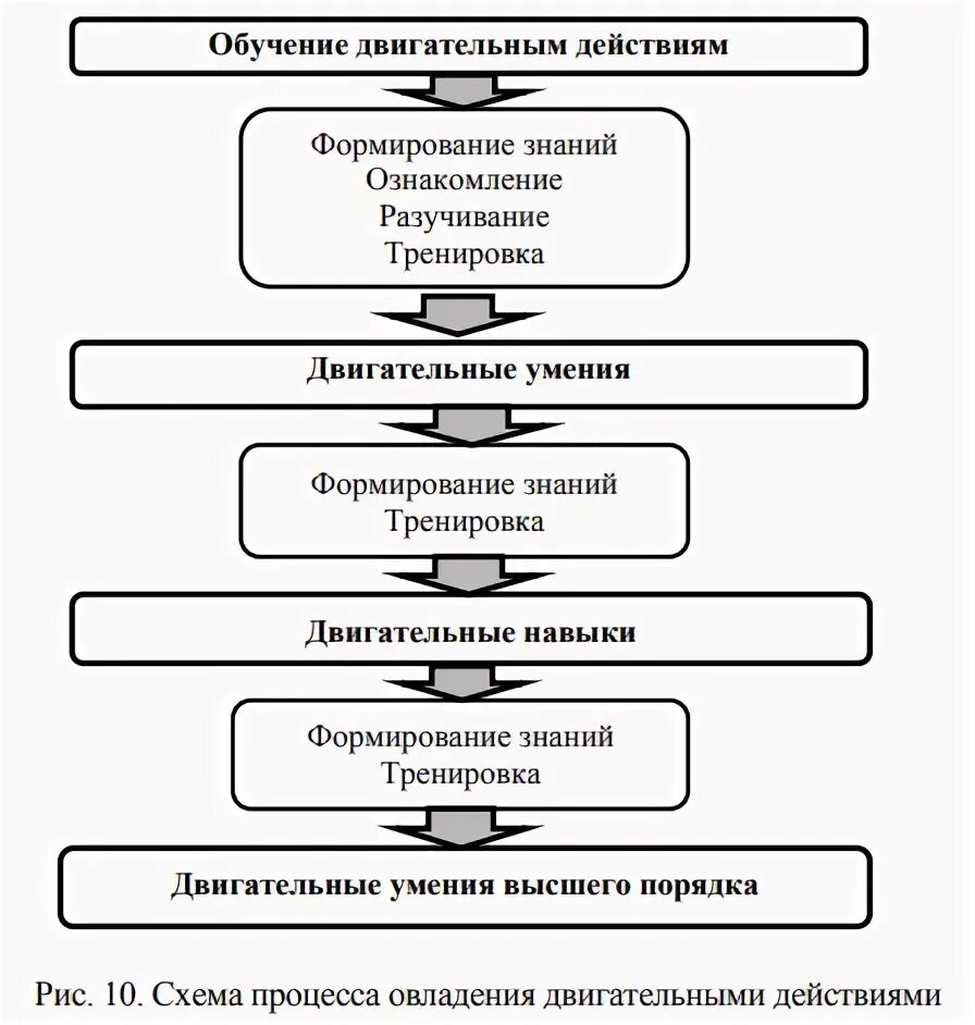 Методы формирования двигательных умений. Схема формирования двигательного навыка. схема овладения техникой двигательного действия. уровни двигательных умений схема. нарисуйте схему формирования двигательного навыка..