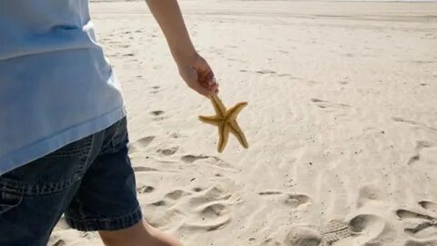 Выдерживать в морской воде