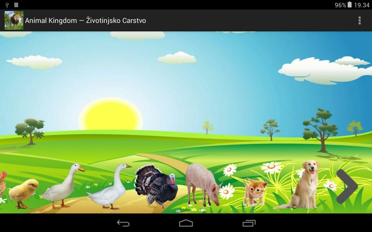 Animals программа