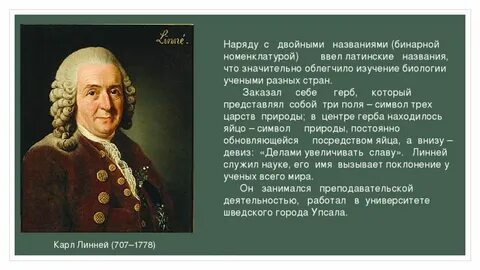 Бинарная история