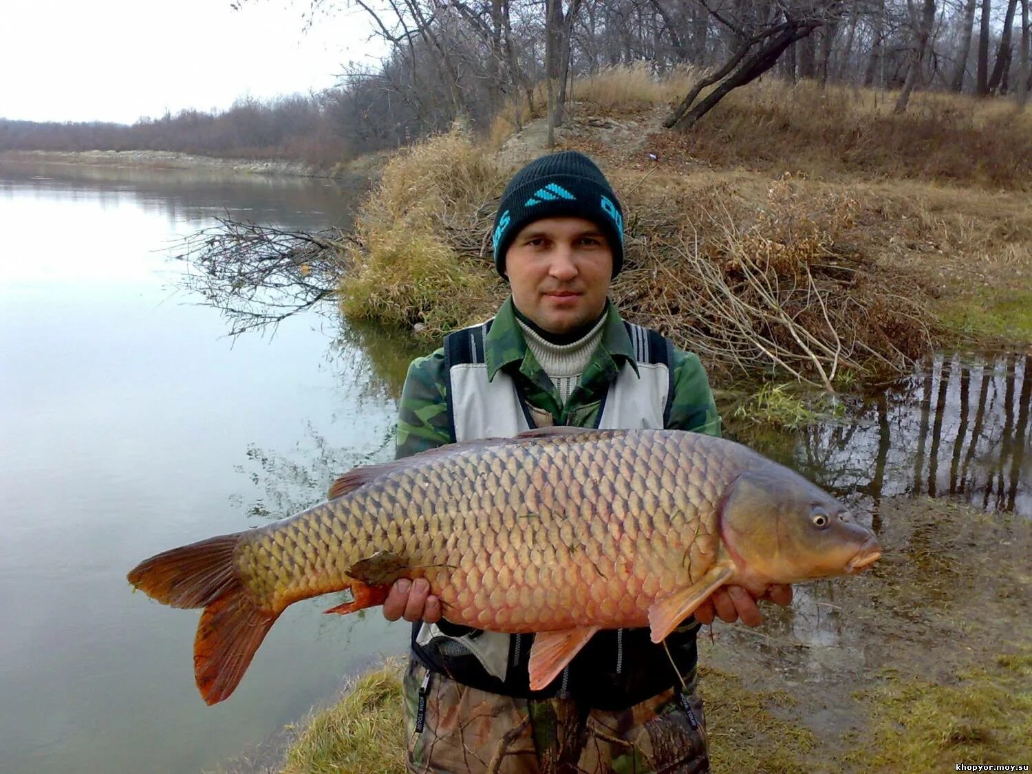 Рыболовный портал Master Fishing