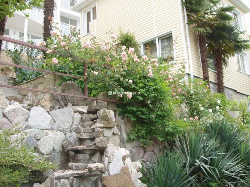 соловушки лазаревское. соловушка лазаревское гостевой дом. 182. соловушка (ул. лазаревское ул победы 182.