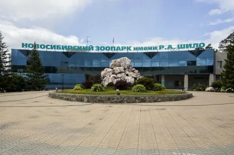Новосибирский зоопарк новосибирск фото