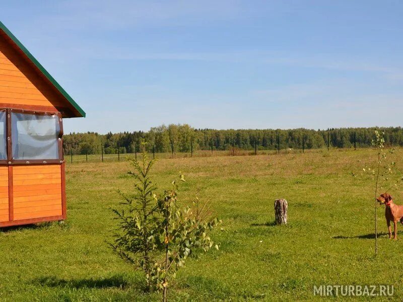 Головинка база отдыха Калужская. Охотбаза Головинка Калужская. База экотуризма Головинка. Турбаза Головинка Калужская область. Головинка калужская