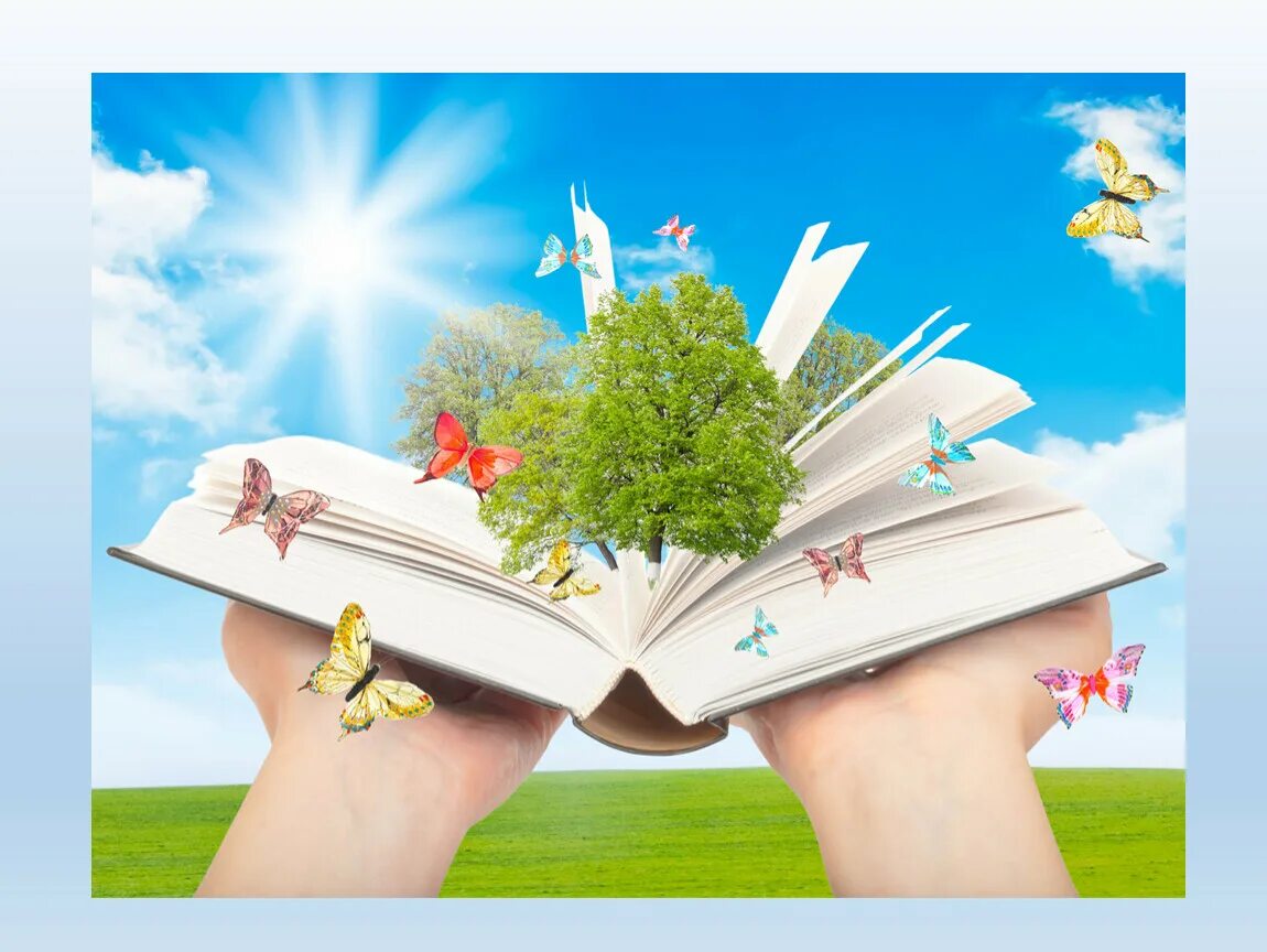 Сказочный мир из книги. Книга дверь в волшебный мир. Джимми лиао. Книга открывает целый мир. Книга окно в мир изложение.