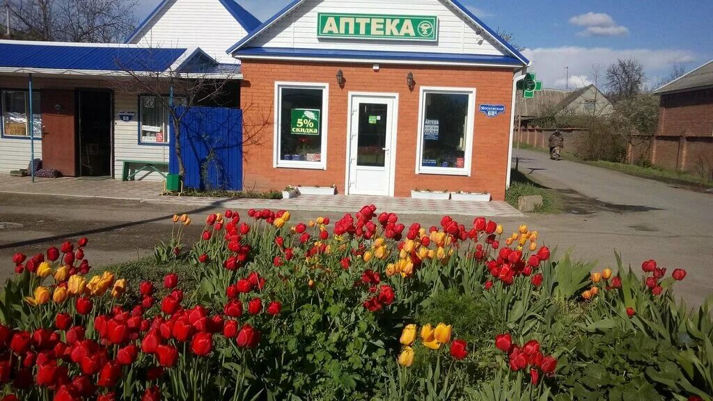 Фото: Орхидея, ресторан, Советская ул., 50Б, село Кагальник - Яндекс Карты