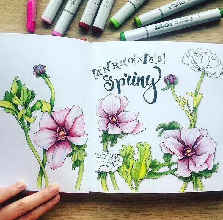 Марафон для скетчбук а на разные темы. Маркеры для ландшафтного скетчинга. Нарциссы маркерами для скетчинга. Скетч маркерами для детей. Скетчинг для детей природа.