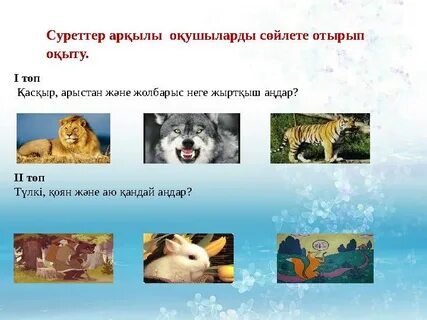 Порно сут көру