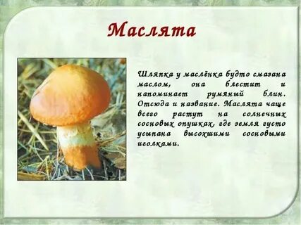 Сообщение про грибы 2 класс литературное чтение