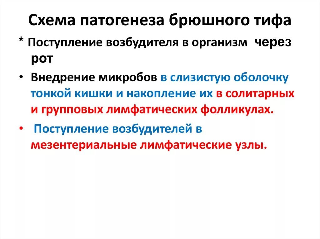 Возбудитель брюшного тифа строение. Возбудители брюшного тифа и паратифов таксономия. Таксономия брюшного тифа. Брюшной тиф клиническая картина. Брюшной тиф классификация.