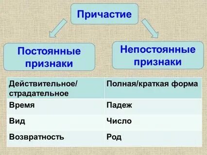 Что бывает регулярным. Что бывает регулярным