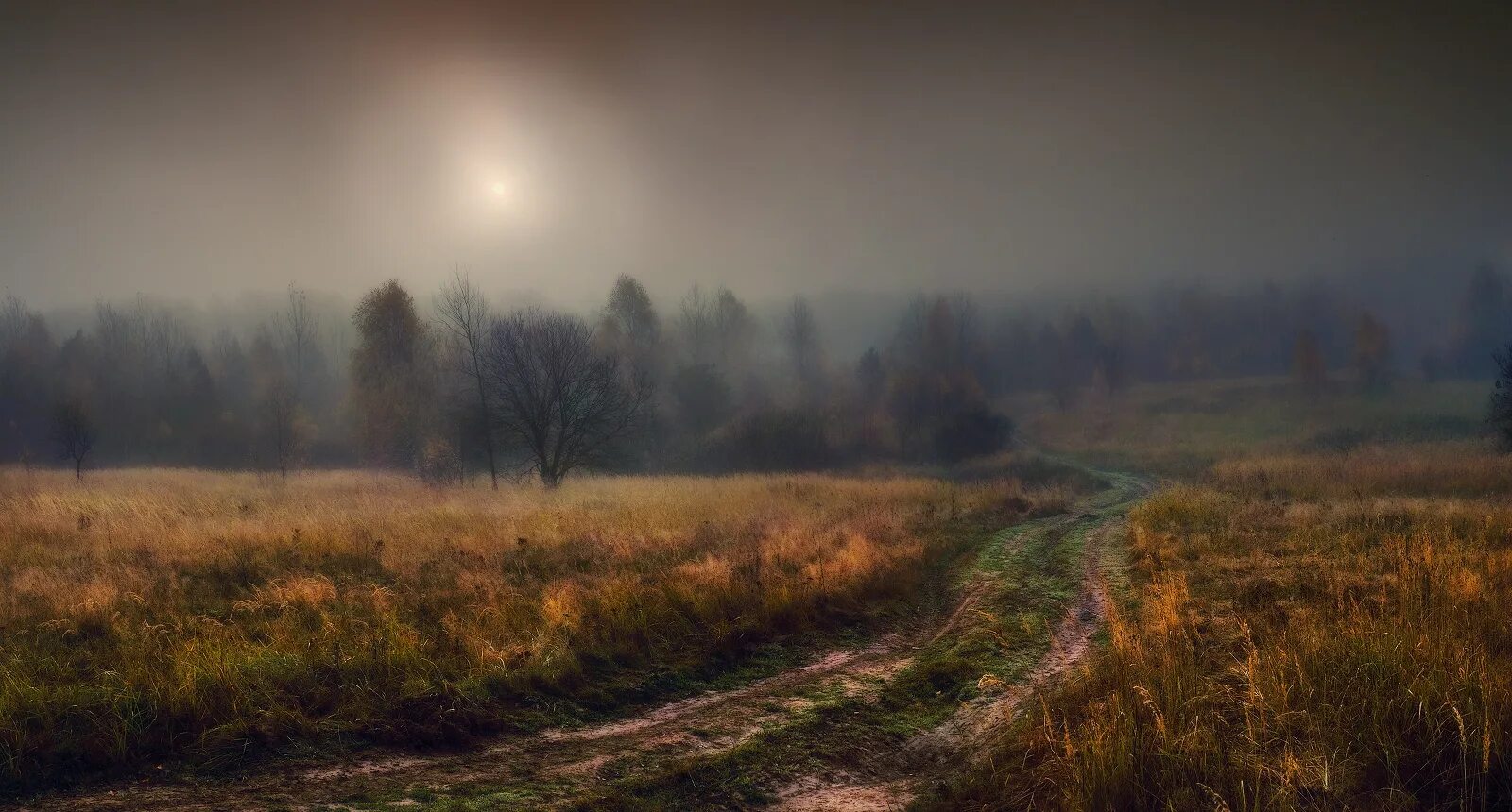 Дорога белела освещенная месяцем. Тревожный пейзаж. Осеннее поле. Унылый пейзаж. Туманный пейзаж.