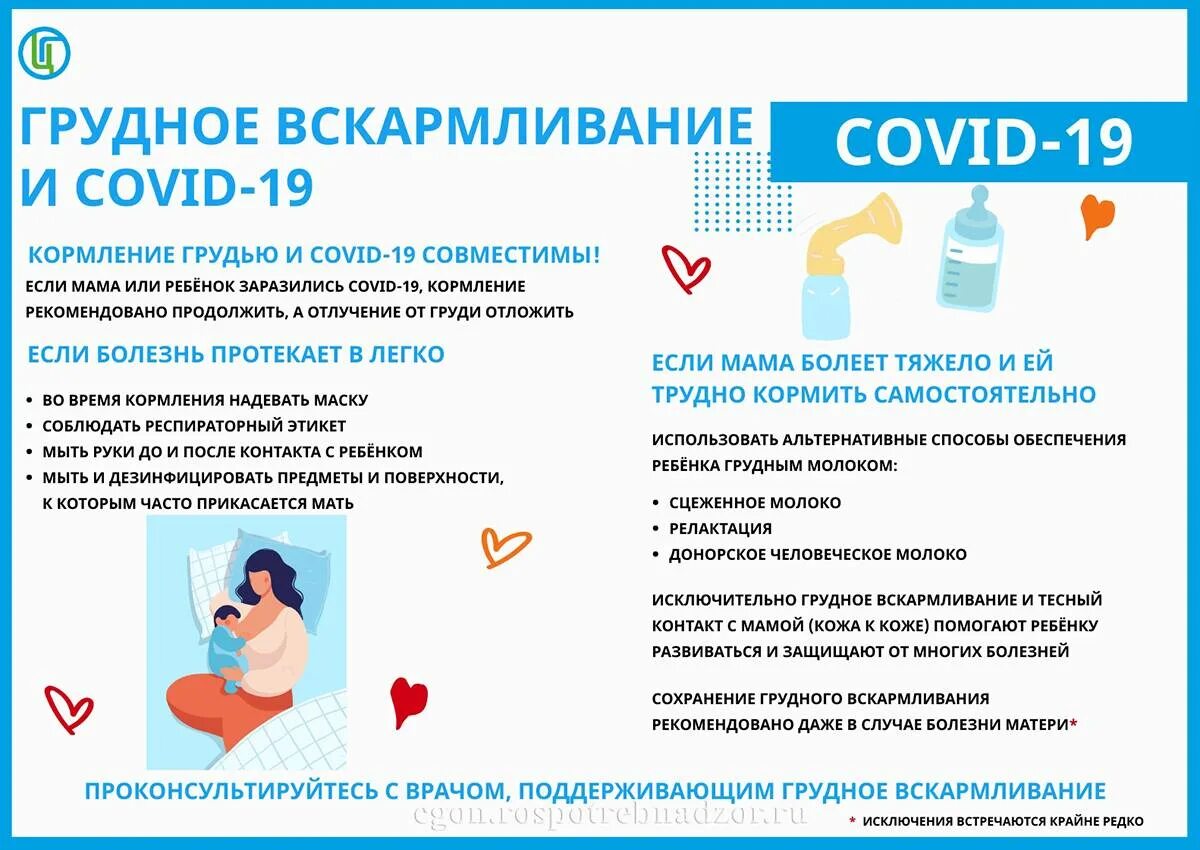 Можно ли кормить при орви