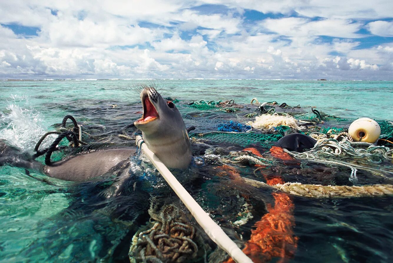 Гибнущее море. Загрязнение мирового океана. Загрязнение вод мирового океана. Экология морей и океанов. Экологические проблемы океана.
