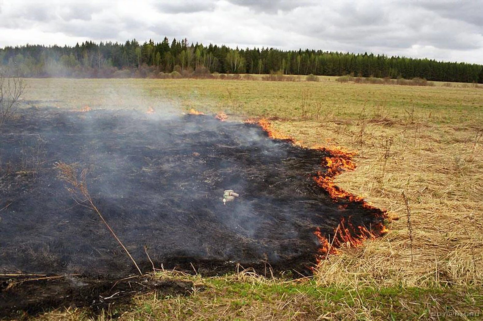 Выжигание сухой растительности. Пал травы. Сгоревшая трава. Сожженное поле. Защита горючих материалов