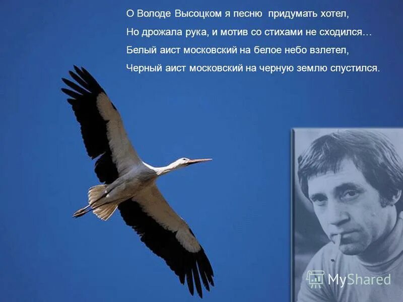о володе высоцком я песню придумать. о володе высоцком я песню придумать. «о володе высоцком я песню придумать решил…» драмтеатр. выставка о высоцком в библиотеке. сочинить песню.