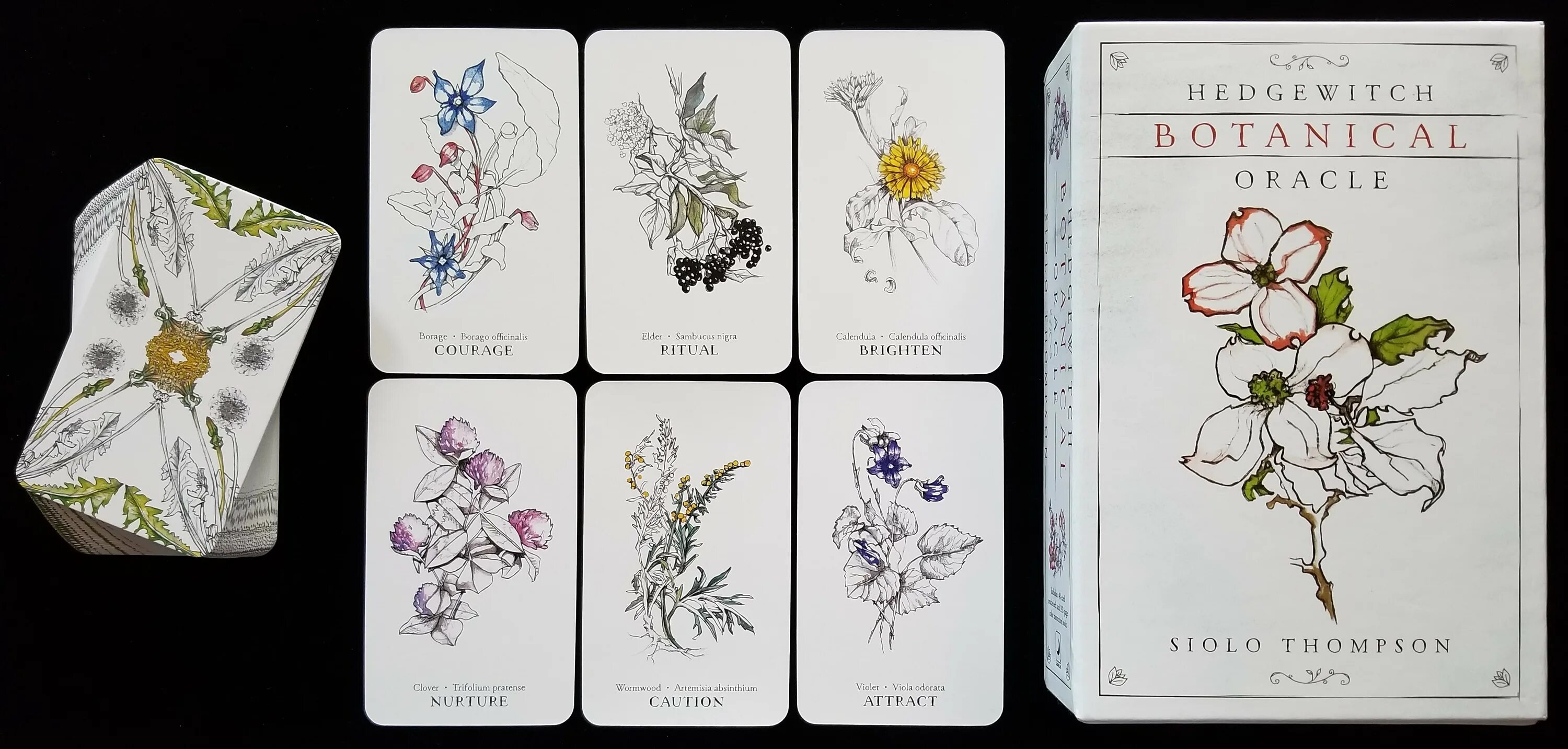Oracle collections. Томпсон ботанический оракул. hedgewitch botanical oracle. hedgewitch botanical oracle галерея. оракул.