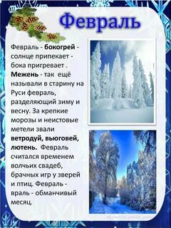Зимние месяцы декабрь и январь