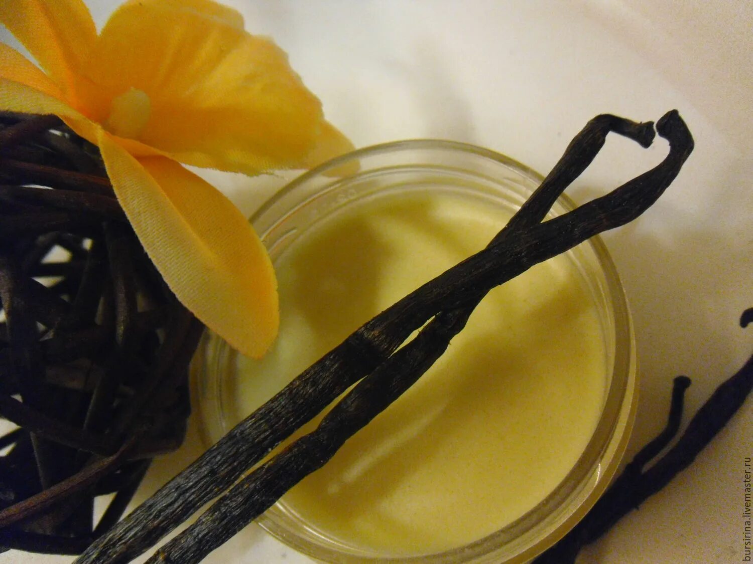Что значит запах ванили. Бурбонская ваниль. Бурбонская ваниль растение. Таитянская ваниль. Ваниль (пряность).