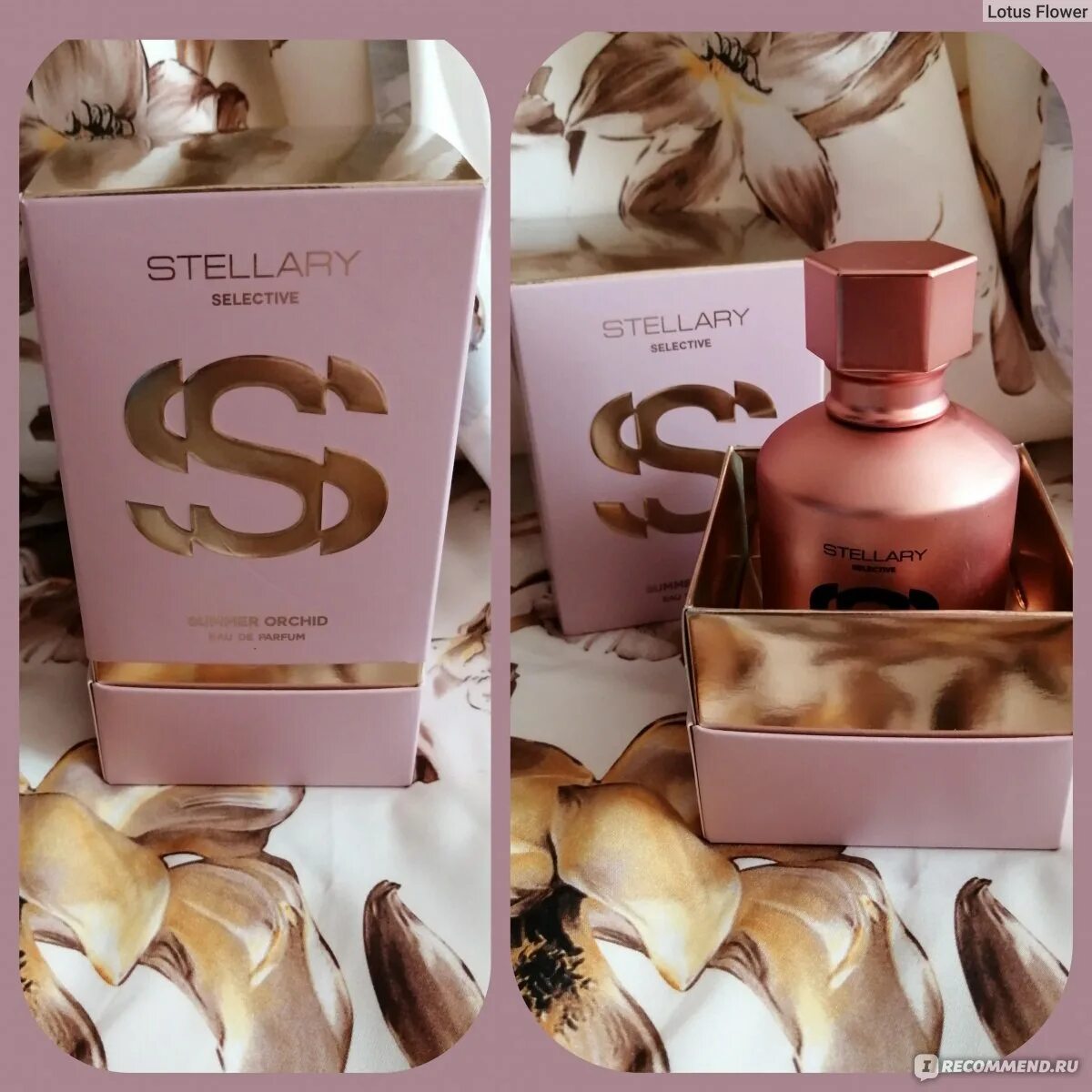 Туалетная вода stellary. Стеллари духи. Стеллари селектив духи. Духи Stellary selective Summer Orchid. Туалетная вода стеллари розовая.