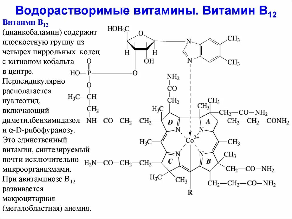 3 водорастворимый витамин. Водорастворимые витамины формулы. Формулы водорастворимых витаминов биохимия. Водорастворимые витамины формулы таблица. Водорастворимые витамины в3.