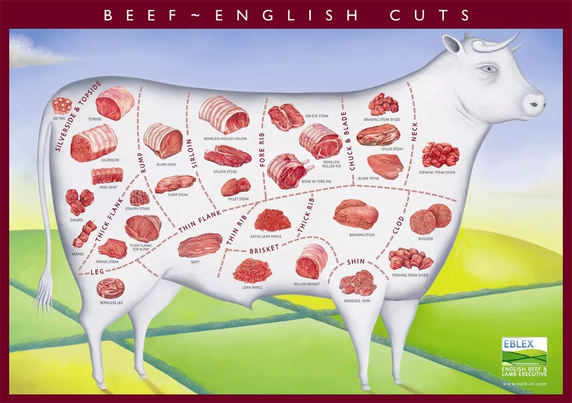 Схема разруба говядины. Разрез коровы на стейки. Части коровы мясо.