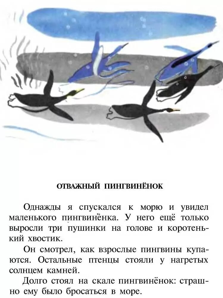 Чтение рассказов из книги г Снегирева про пингвинов. Чтение рассказов про пингвинов снегирева в старшей