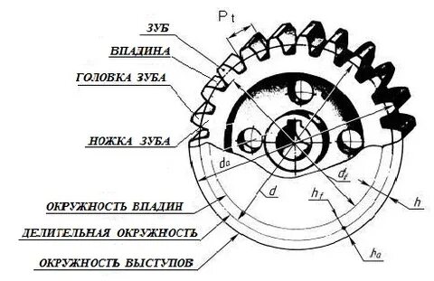 Головка зуба