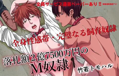 ス ペ シ ャ ル コ ン テ ン ツ 