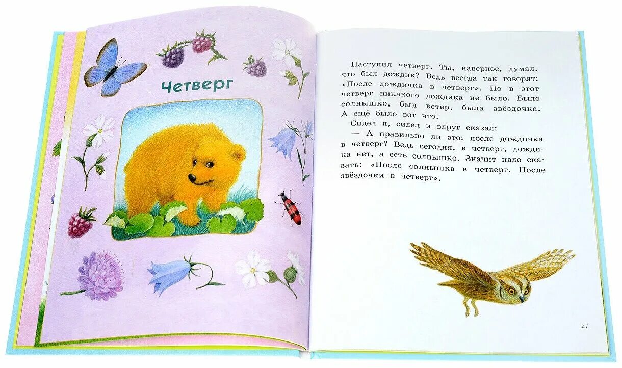 Сказка дневник медвежонка. Дневник медвежонка книга. Сказка дневник медвежонка. Сказка дневник медвежонка. Г.