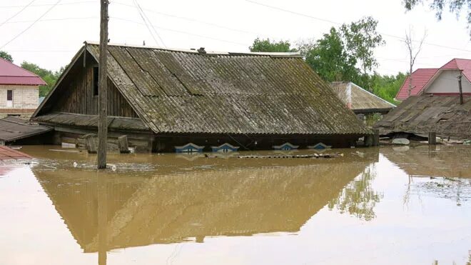 Погода кокши алтайский край. Село Кокши Алтайский край. Село Кокши Советский район Алтайский край. Население село Кокши Алтайский край. Затопленный частный сектор.