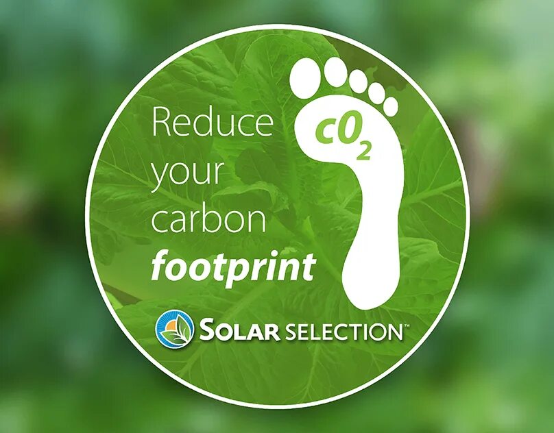 Your carbon footprint. Reduce carbon footprint. carbon footprint reduction. carbon footprint educations. how to reduce my carbon footprint.