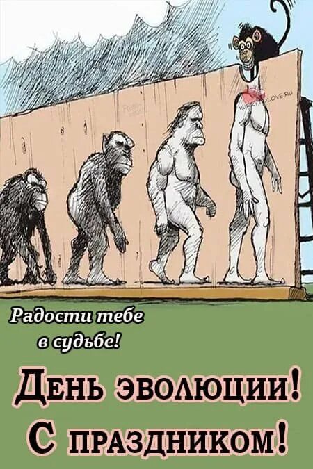День эволюции картинки. День эволюции картинки прикольные. 24 ноября какой праздник. День эволюции картинки прикольные. Эволюция прикол.