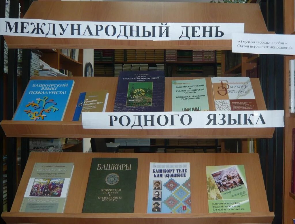 выставка ко дню родного языка. мероприятия посвященные родному языку. книжная выставка родной язык. 21 февраля международный день родного языка. мероприятия посвященные родному языку.