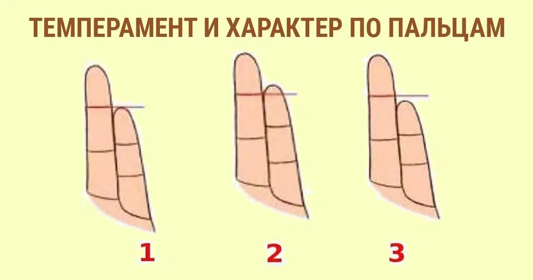 Определить характер по рисункам. Характер по палпальцам. Темперамент и характер по пальцам. Характер по пальцам рук. Узнай характер по длине пальцев.