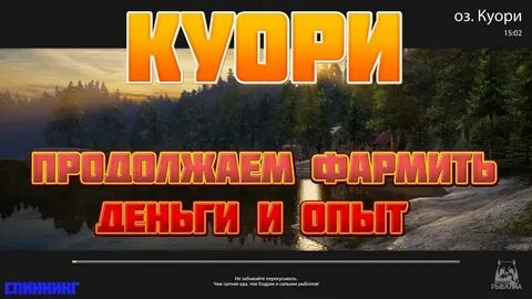 Куори приманки