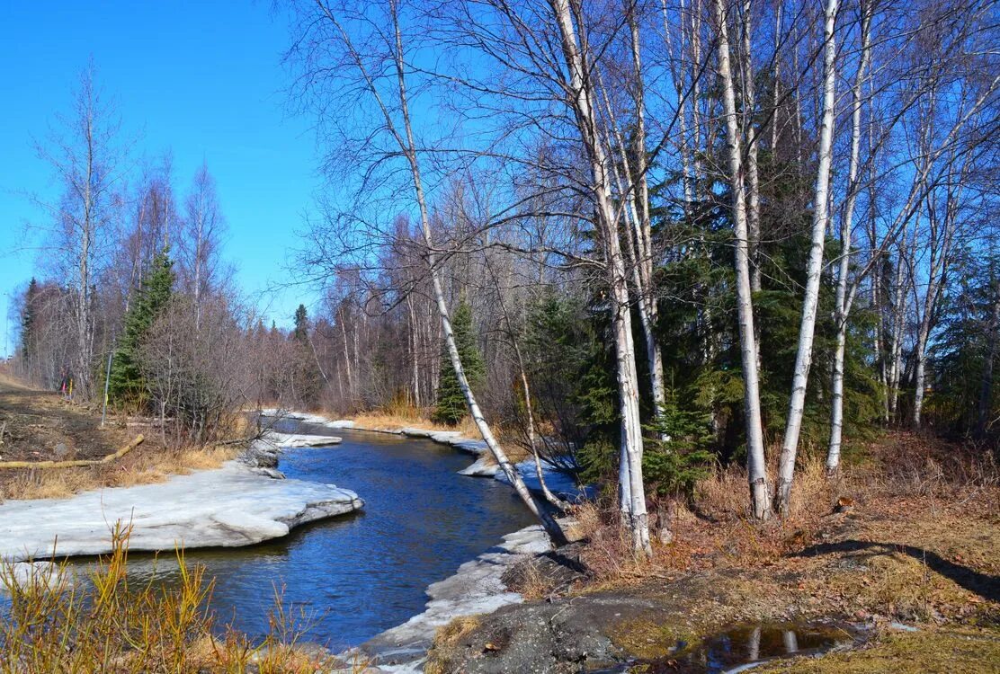Жизнь апрель. Весенний апрель. Евреи на пляже. Жизнь апрель. Еврей на отдыхе.