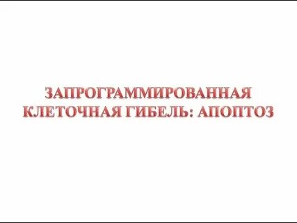 Запрограммированная гибель клетки
