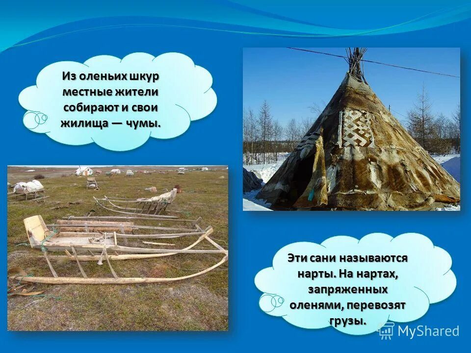 чум шалаш в виде конуса. чум стих. чум иглу яранга. чум проект. жилища коренных народов россии.