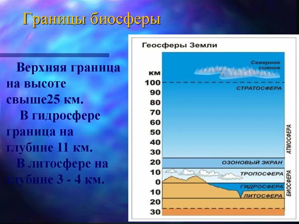 Границы биосферы в гидросфере. Верхняя граница биосферы. Границы биосферы в пределах гидросферы. Верхняя граница биосферы на высоте. Где располагается верхняя граница биосферы