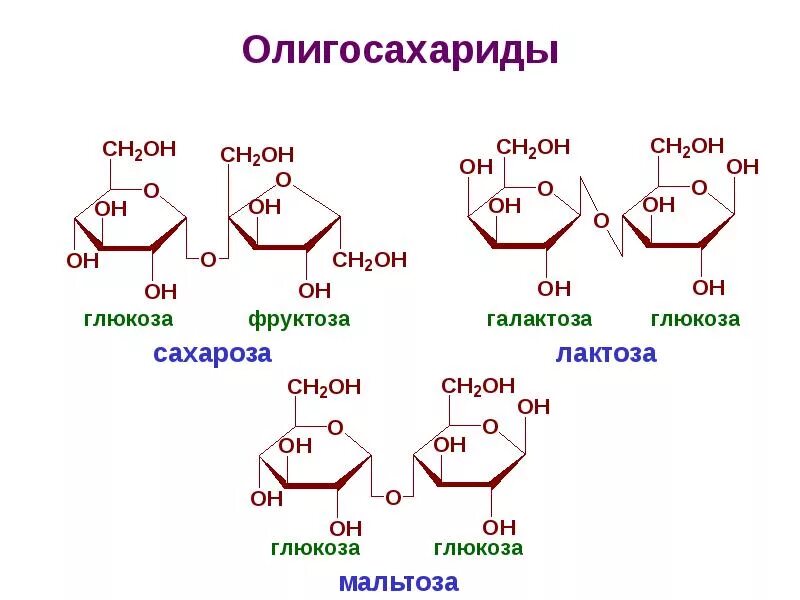 Сахароза мальтоза лактоза формулы. Олигосахариды сахароза лактоза мальтоза. Сахароза галактоза мальтоза. Строение сахарозы мальтозы и лактозы. Глюкоза галактоза рибоза