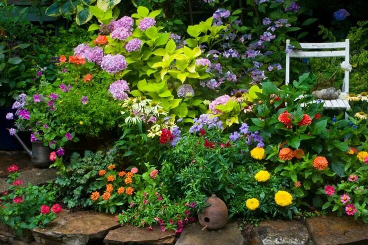 Plant low cost, low upkeep perennial flower beds that will forever bloom! Garden