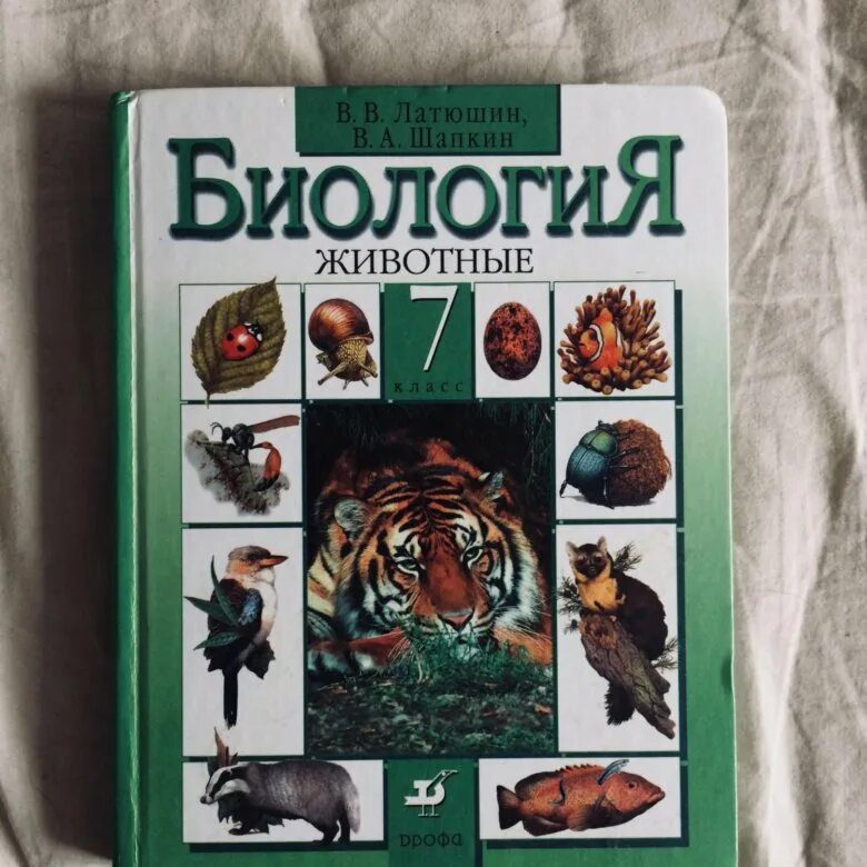 Пасечник биология 8 класс 2023 читать. Биология 7 класс Зоология. Зоология 7 класс учебник. Биология латюшин. Пасечник биология 7.