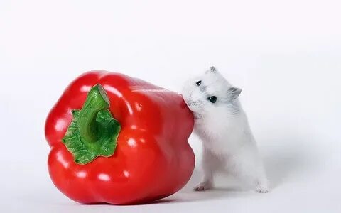 Picture background