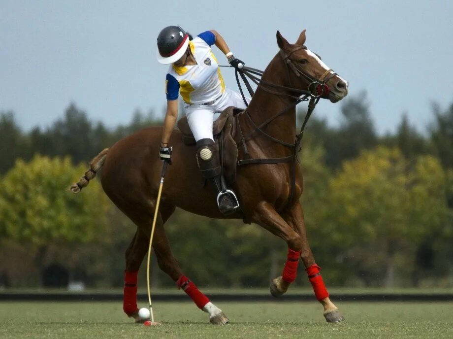 Horse Polo. Horse Sport uniform. Sports uniform. Поло ido. Start riding