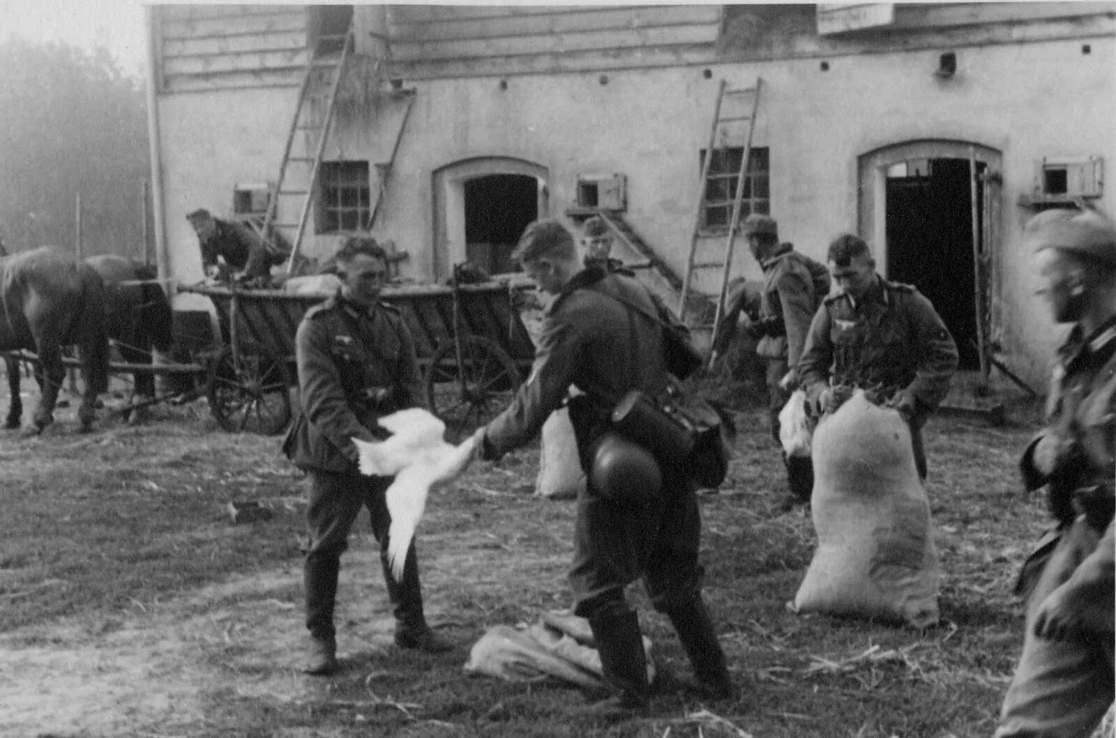 Зверства фашистов в вов 1941-1945 в деревне. Зверства фашистов в войне 1941-1945. Маутхаузен концентрационный лагерь узники. Дети издеваются над пенсионером. Узники концлагеря маутхаузен.