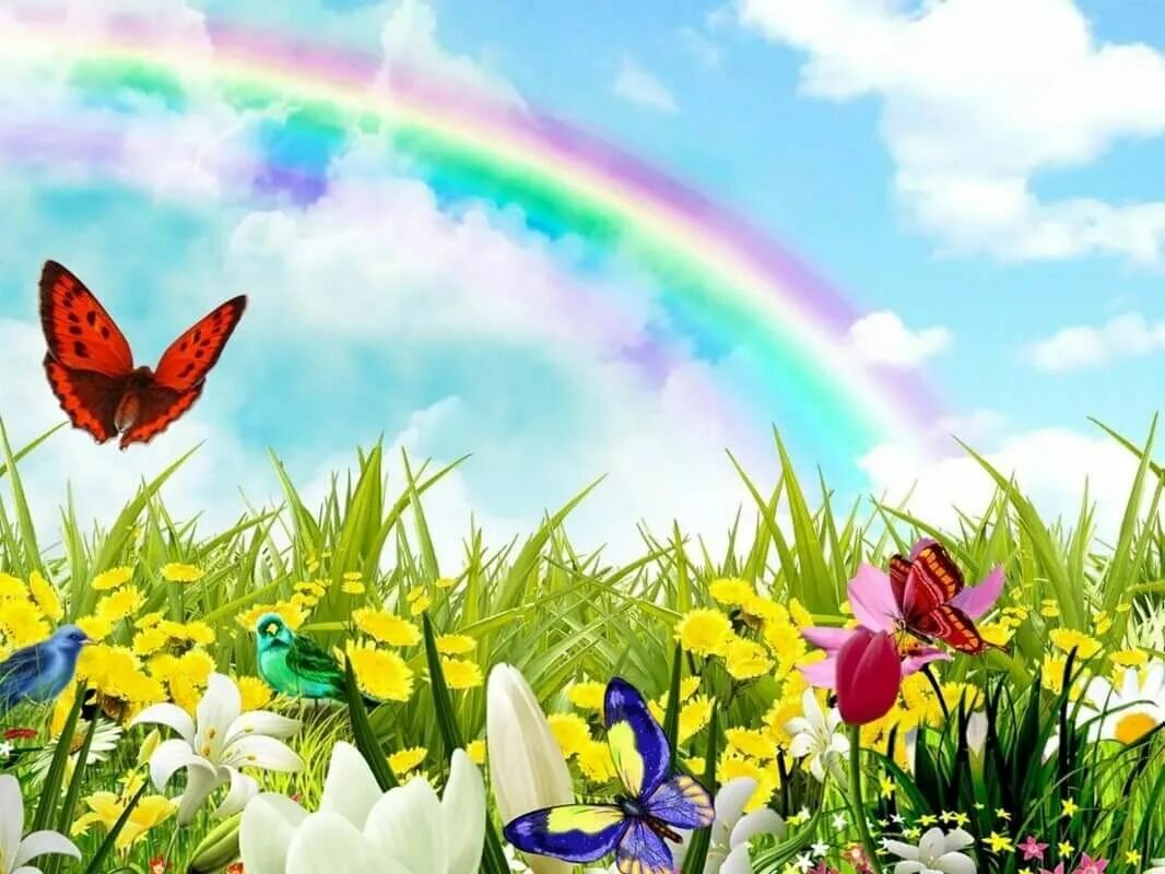 Поляна с цветами и бабочками. Разноцветное лето. Красочное лето. Разноцветное лето с изображением.