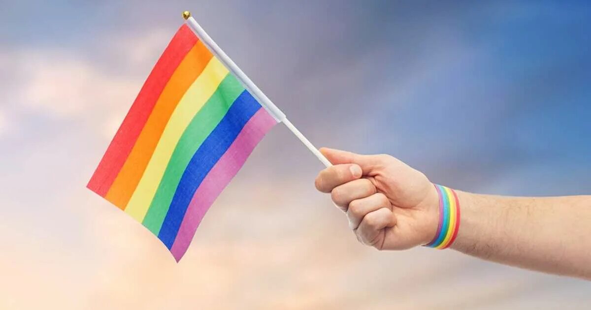 флаг в руки. какой флаг в руки. флаг красный. радужный флаг. флаг в руки.