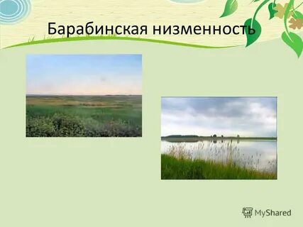 Барабинская низменность полезные ископаемые