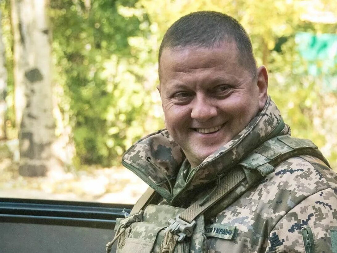 Валерием федоровичем залужным